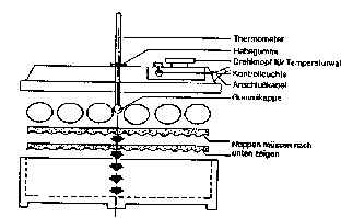 ei2.jpg (10295 bytes)